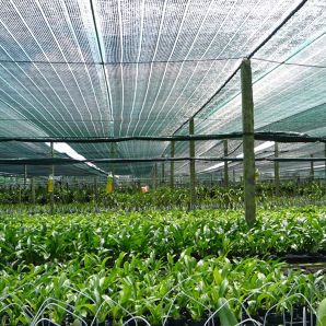 PLASA DE UMBRIRE SI ACOPERIRE 2MX10M 120 GR/MP PROTECTIE UV 90% ENERGO
