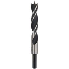 Burghiu lemn cu pin autocentrare D-16mm L-100/160mm CrV prindere cilindrica BOSCH