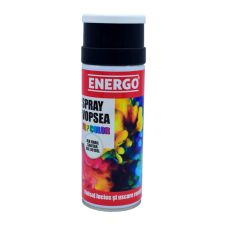 Spray vopsea EXPERT alb email sanitar RAL9010EL volum 400ml ENERGO
