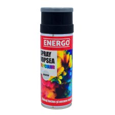 Spray vopsea EXPERT argintiu volum 400ml ENERGO