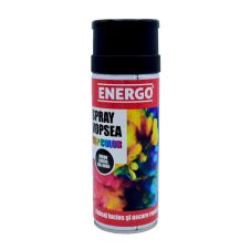 Spray vopsea EXPERT negru lucios RAL9005 volum 400ml ENERGO