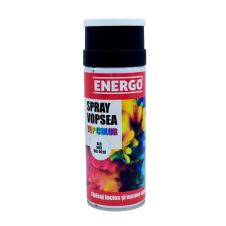 Spray vopsea EXPERT alb mat RAL9010 volum 400ml ENERGO