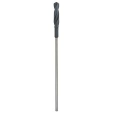 Burghiu lemn cofraj PRO WOOD D-20mm L-100/400mm HSS prindere cilindrica BOSCH