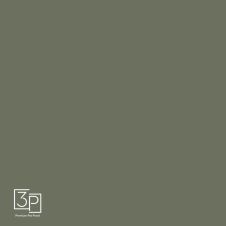 Panou MDF L-2800mm s-1220mm g-18mm 3P 3051 verde caretta (fata dubla) AGT