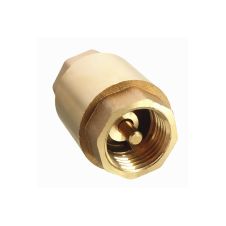 SUPAPA NON-RETUR ALAMA CU ARC 1"
